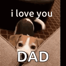 I Love You Dad Wagging Tail GIF - I Love You Dad Wagging Tail Dog GIFs