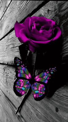 Mariposa Butterfly GIF - Mariposa Butterfly Digital Art GIFs