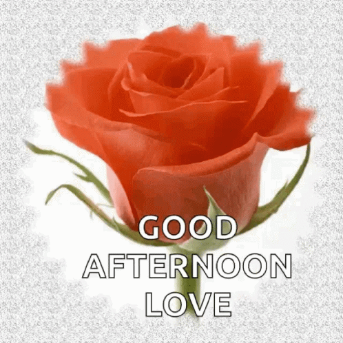 Good Afternoon Flowers GIF - Good Afternoon Flowers Sparkles - Discover ...