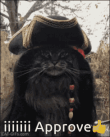 i approve approve iiiiii pirate cat