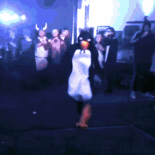 Penguin Dancing GIF - Penguin Dancing Dancing Penguin GIFs