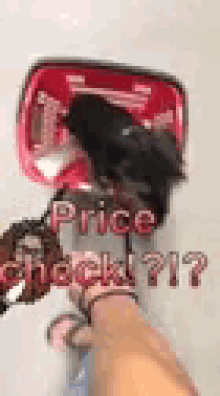 dog hot clearance shopping spree dog hot clearance shopping spree