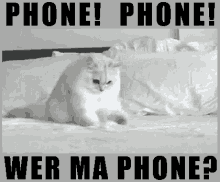 Phone Phone Wer Ma Phone GIF - Lost Phone Phone Wheres My Phone GIFs