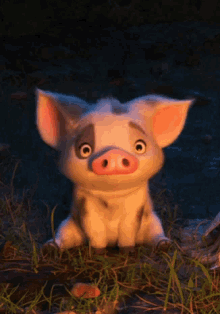Confused Pig GIF - Confused Pig Worried GIFs
