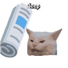 sleep cat bonk mascord sightingscord
