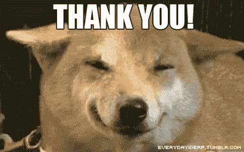 Thank You Thanks GIF - Thank You Thanks Doggo GIFs