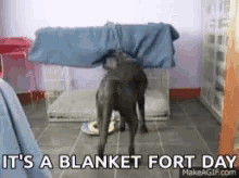 Blanket Fort Day Dog GIF - Blanket Fort Day Dog Sleep Time GIFs