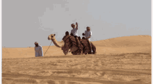 Camel Wave GIF - Camel Wave Desert GIFs