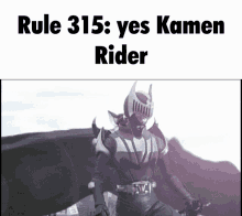 Rule Rule315 GIF - Rule Rule315 Kamen Rider GIFs