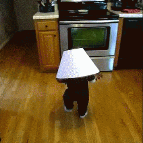 oven-oven-door.gif