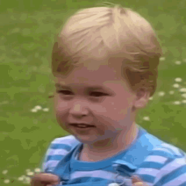 Prince William William Of Whales Gif Prince William William Of Whales Duke Of Cambridge Discover Share Gifs