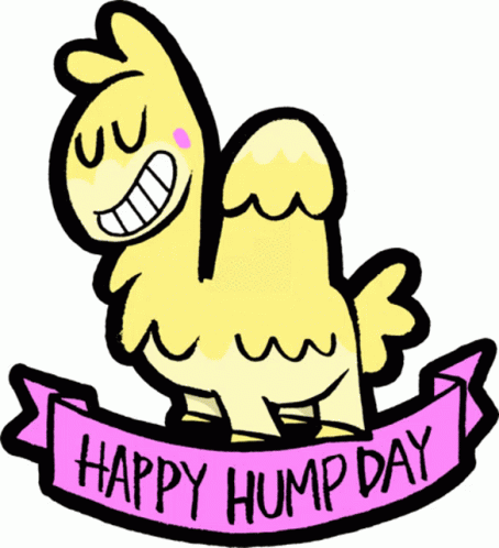 hump,day,wednesday,happy,gif,animated gif,gifs,meme.