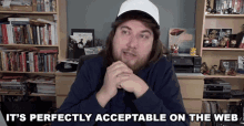Its Perfectly Acceptable On The Web Understandable GIF - Its Perfectly Acceptable On The Web Understandable Tolerable In The Internet GIFs