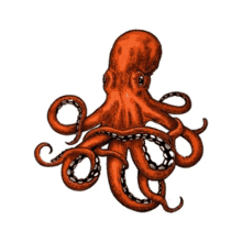 dn d polvo gigante kraken octopus
