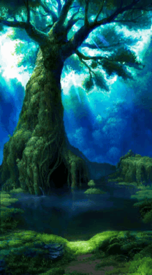 shadow forest %E3%82%AF%E3%83%AD%E3%83%8E%E3%82%AF%E3%83%AD%E3%82%B9 chrono cross background video games