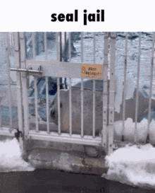 seal jail agu seal aguhiyori agu