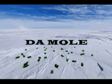 The Mole Mol GIF - The Mole Mol De Mol GIFs