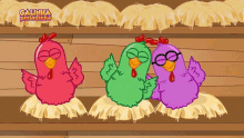 Galinhas Galinhas Coloridas GIF - Galinhas Galinhas Coloridas Colorful Chickens GIFs