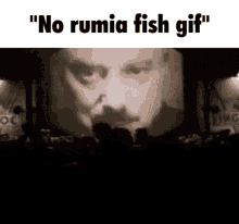 No Rumia GIF - No Rumia Fish GIFs