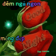 Lênhân Good Night GIF - Lênhân Good Night GIFs