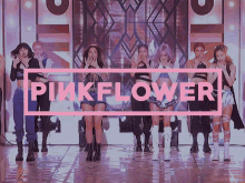pinkflower flowerjoy sooya liliana rosalina