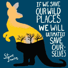 If We Save Our Wild Places We Will Ultimately Save Ourselves GIF - If We Save Our Wild Places We Will Ultimately Save Ourselves Save The Planet GIFs