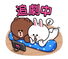 brown bear and cony bunny brown and cony cute couple together