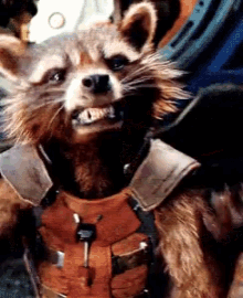 Guardians Of The Galaxy Rocket Raccoon GIF - Guardians Of The Galaxy Rocket Raccoon Annoyed GIFs