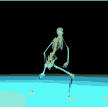Skeleton Twerking GIF - Skeleton Twerking Bones GIFs