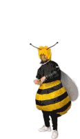 Bee Dance Sticker - Bee Dance Black And Yellow Stickers