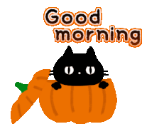 Good Morning Pumpkin Sticker - Good Morning Pumpkin Cat Stickers