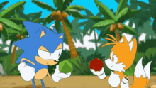 Sonic And Tails Emerald Sonic Mania Adventures Emerald GIF - Sonic And Tails Emerald Sonic Mania Adventures Emerald Tails Emerald GIFs