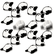 熊貓人 膜拜 GIF - 熊貓人 膜拜 Panda GIFs
