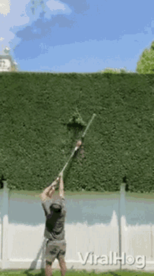 trimming viralhog gardening landscaping
