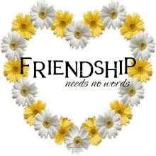 friendship needs no words flowers shiny sparkle glitter
