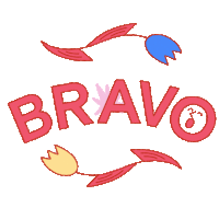 Bravo Tebrikler Sticker - Bravo Tebrikler Stickers