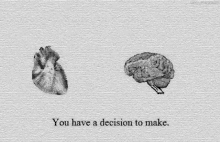 Heart Head GIF - Heart Head Brain GIFs