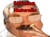 Selection Naturelle Sticker - Selection Naturelle Risitas Stickers