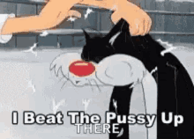 beat pussy bad cat kitty