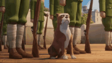 sgt stubby attention soldier dog stubby movie sgt stubby attention soldier dog stubby movie