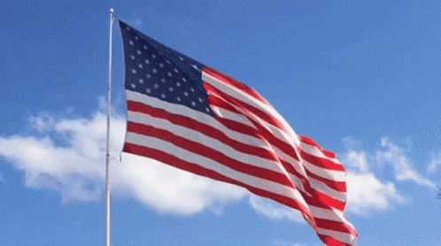 American Flag Usa GIF - American Flag Usa Usa Flag - Discover & Share GIFs