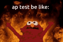 Ap Test GIF - Ap Test GIFs