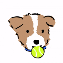 brown white puppy playful tennis ball
