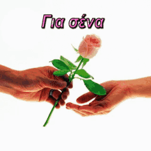 %CE%BA%CE%B1%CE%BB%CE%B7%CE%BC%CE%B5%CF%81%CE%B1 rose for you flower sweet