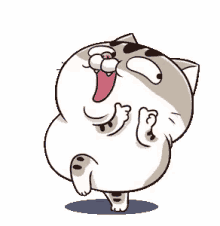 ami fat cat yes yup thats right