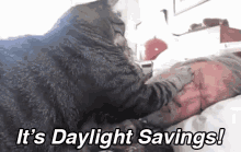 Daylight Savings Time GIF - Daylight Savings Time Cat Wake Up GIFs