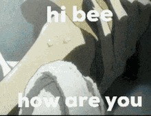 bee hi bee bee is perfect