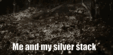 Silver Stack GIF - Silver Stack GIFs