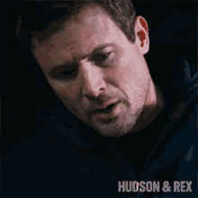 Youre Under Arrest Charlie Hudson GIF - Youre Under Arrest Charlie Hudson Hudson And Rex GIFs