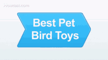How To Select Safe Toys For Birds GIF - How To Select Safe Toys For Birds GIFs